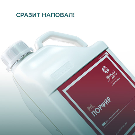 Новинка