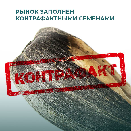 Внимание