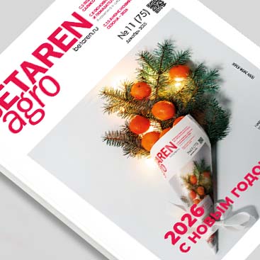 Выпуск декабрь 2025 № 11 (75)