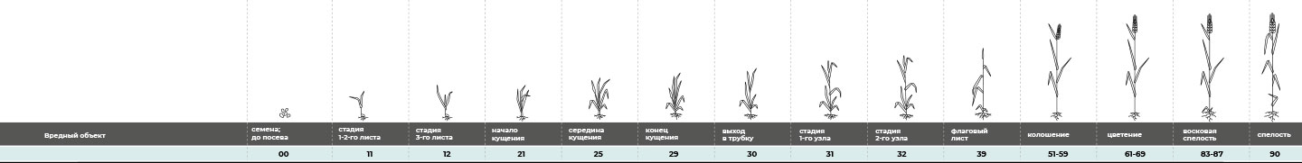 Схема защиты