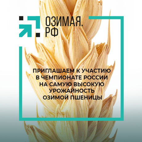 ОЗИМАЯ.РФ