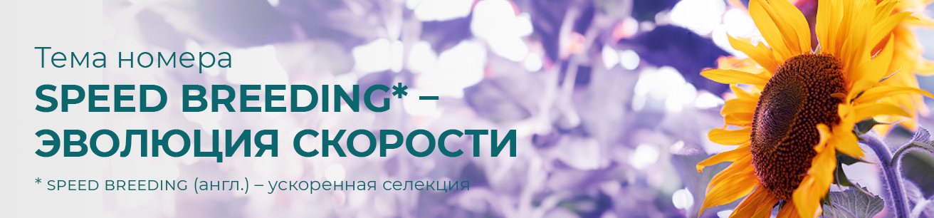 Выпуск ноябрь 2025 № 10 (74)