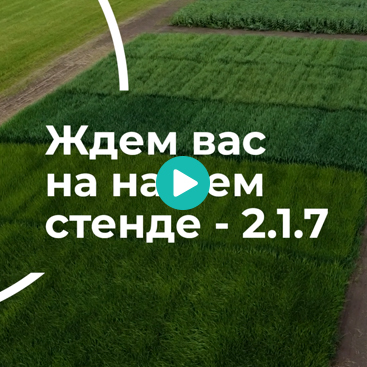 Приглашение на «Всероссийский день поля - 2022»