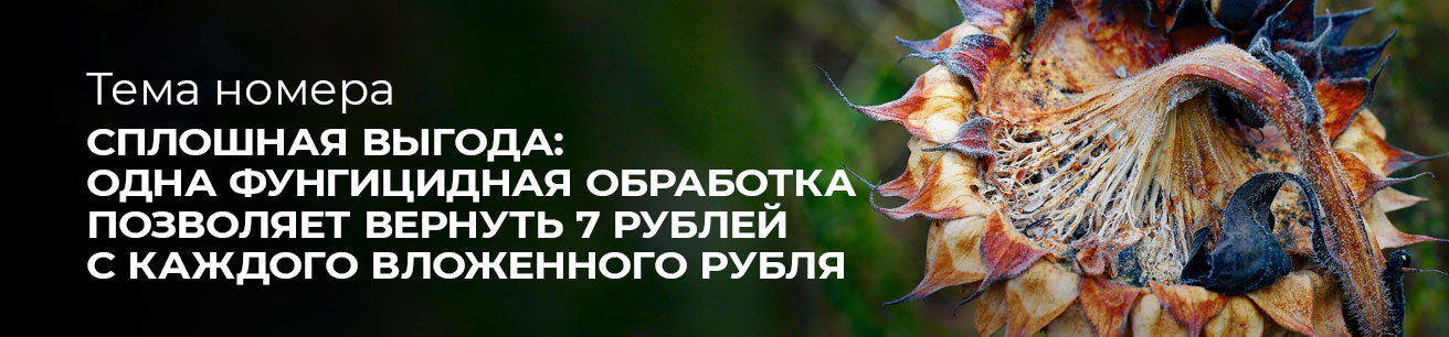 Выпуск июль 2026 № 6 (81)