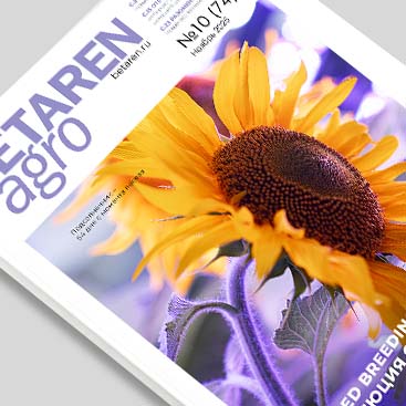 Выпуск ноябрь 2025 № 10 (74)