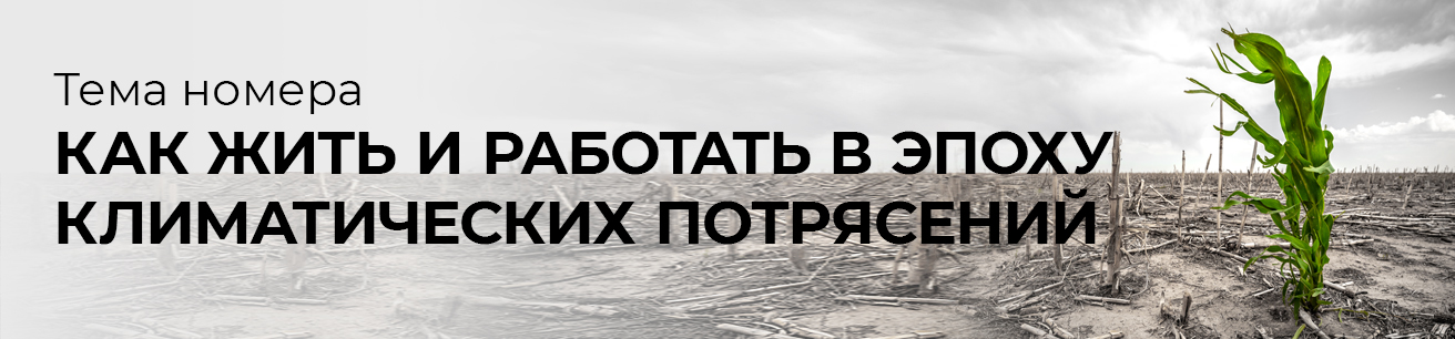Выпуск октябрь 2025 № 9 (73)