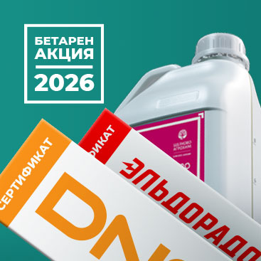 БЕТАРЕН АКЦИЯ-2026