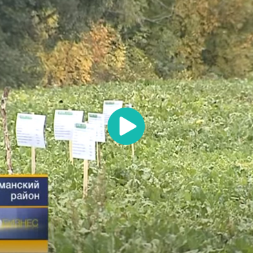 ООО «Бетагран Рамонь» в программе «АгроБизнес» (сентябрь 2013 г.)