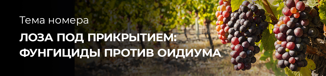 Выпуск апрель 2026 № 3 (78)