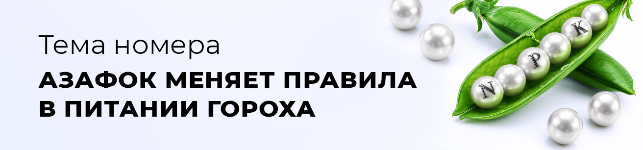 Выпуск октябрь 2026 № 9 (84)