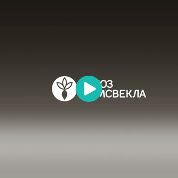 Презентация гибридов сахарной свеклы «СоюзСемСвекла»