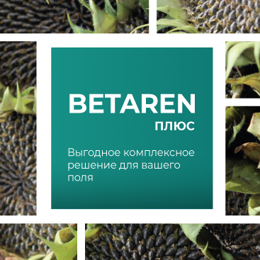 Betaren Плюс: единая технология урожая от «Щелково Агрохим»