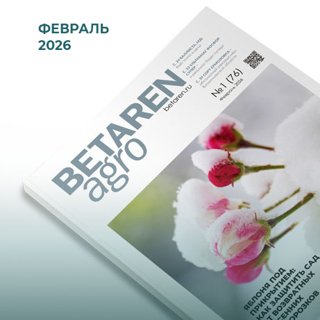 Betaren Agro