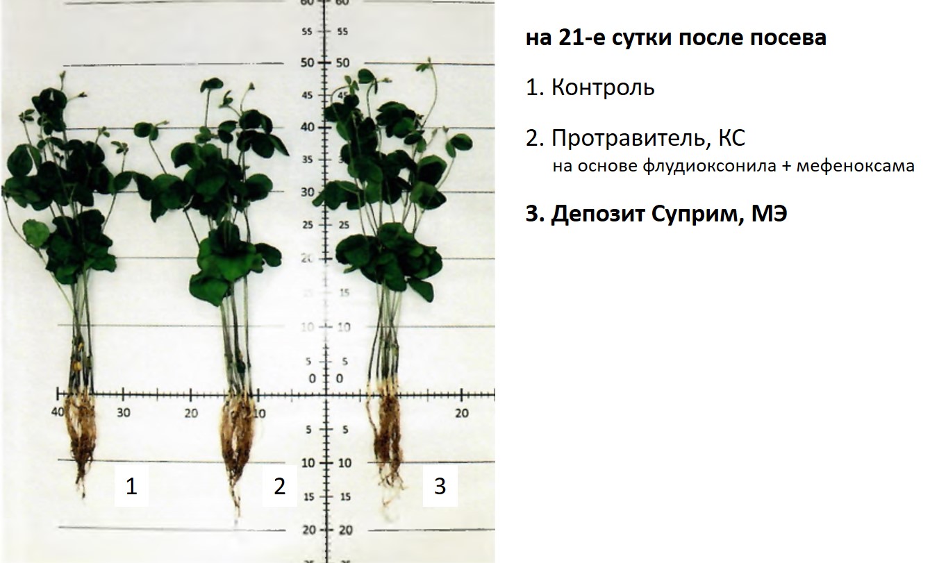 Депозит Суприм на 21 сут.jpg