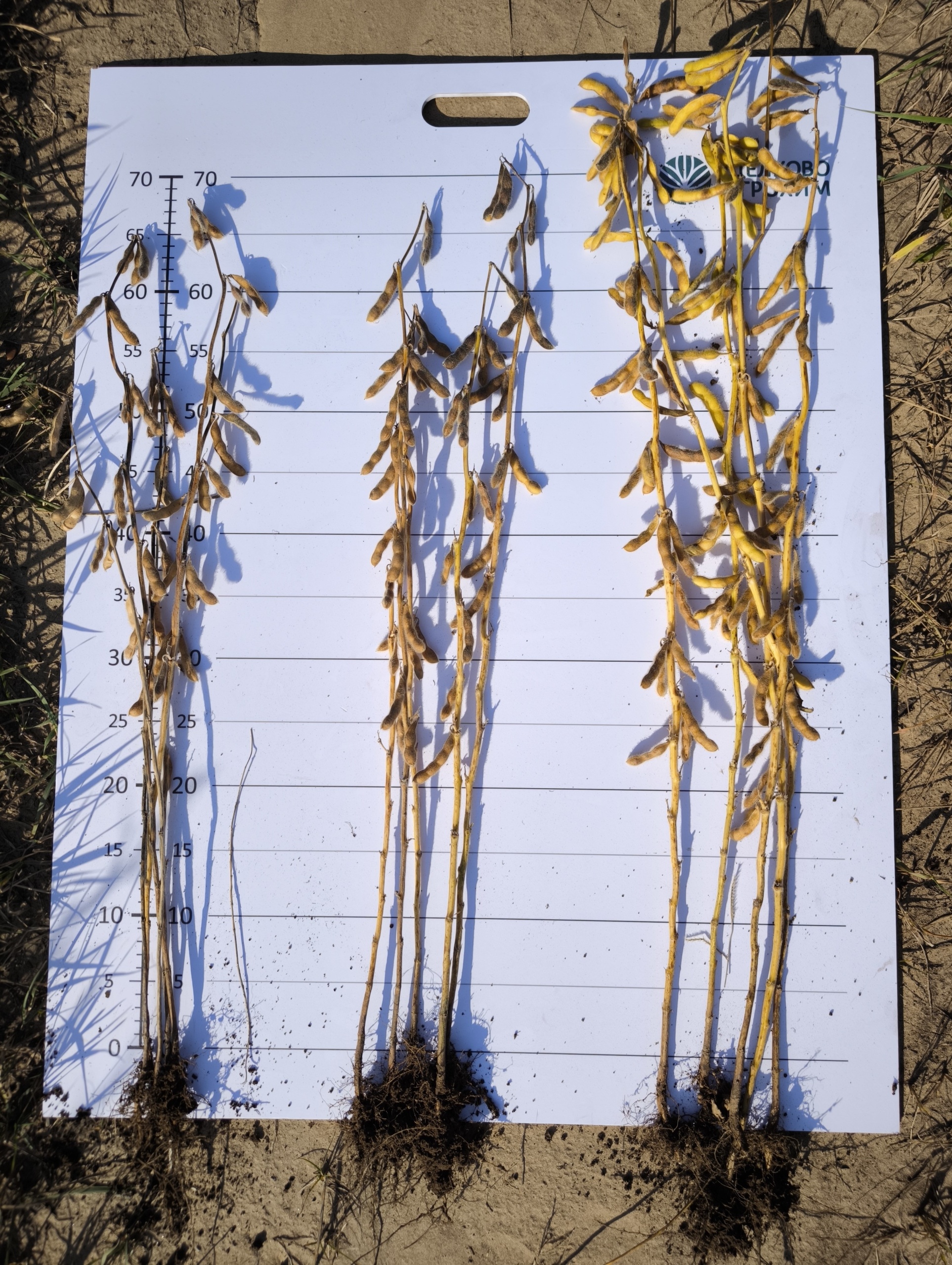 IMG_20250923_145459.jpg IMG_20250923_145459.jpg