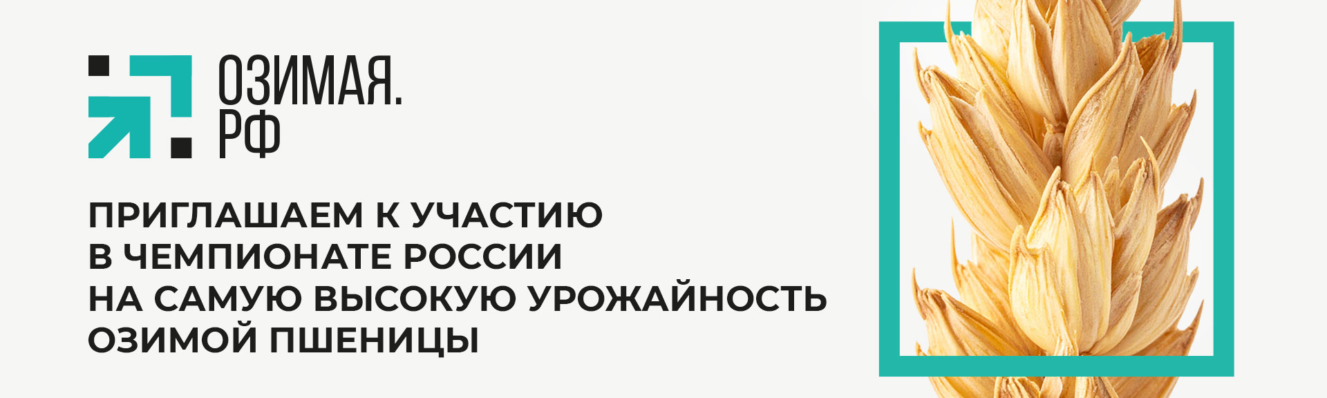 site_Ozimie_Rf_banner_1920x576.jpg