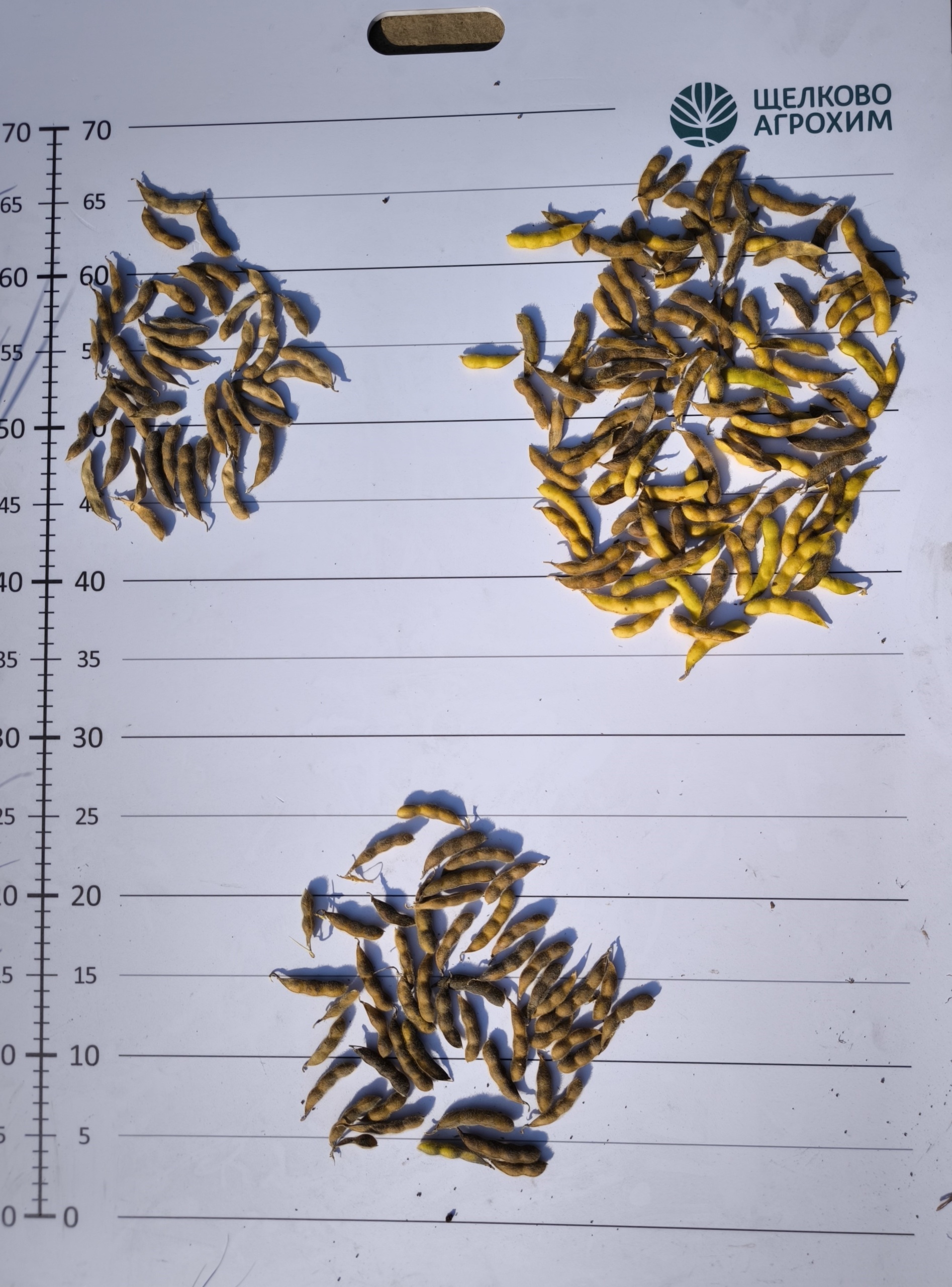 IMG_20250923_145838.jpg IMG_20250923_145838.jpg