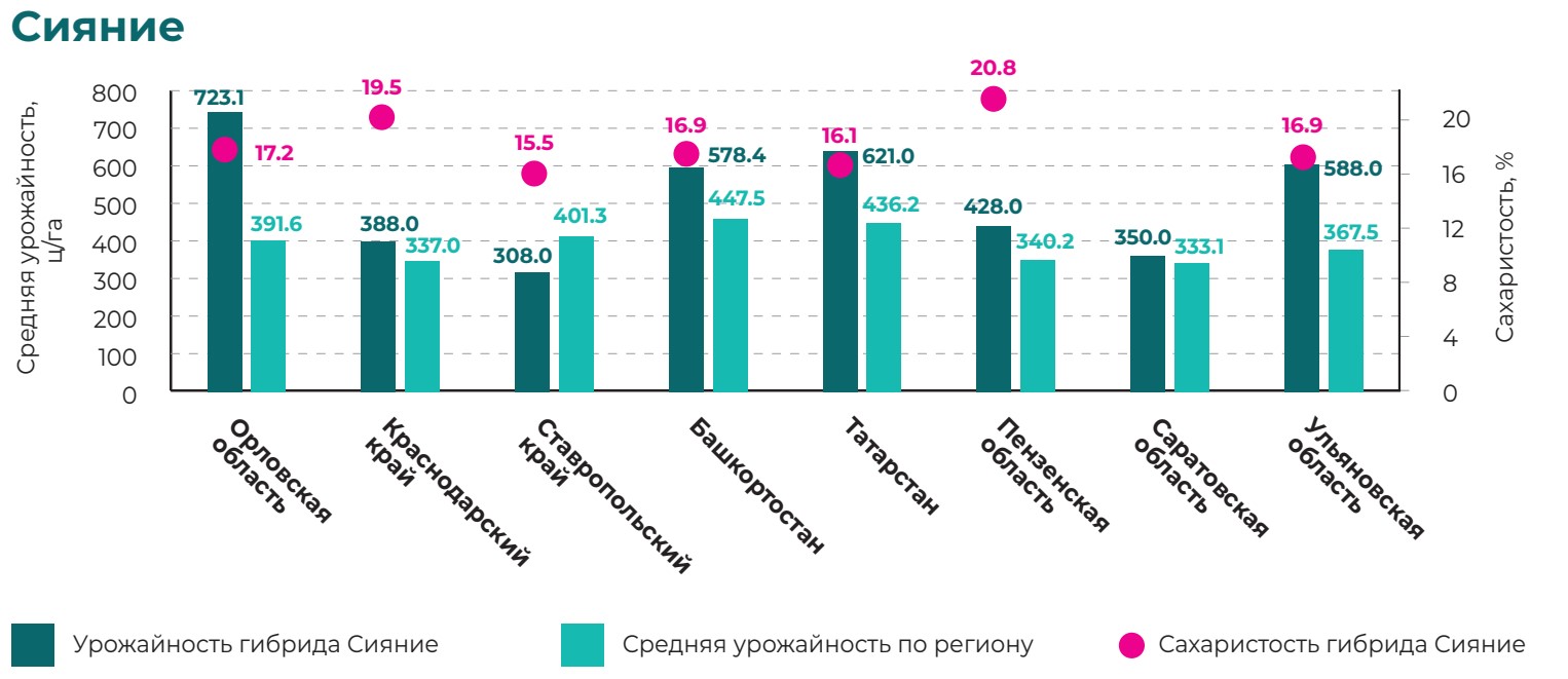 Сияние 2024.jpg