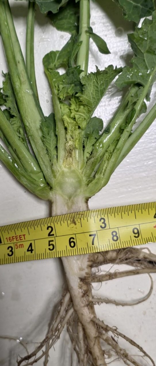 4е344.jpg 4е344.jpg