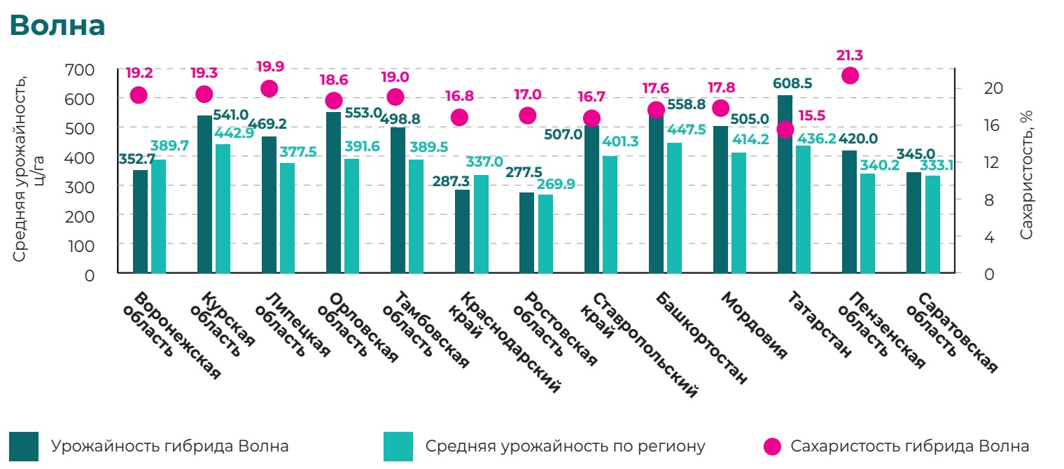 Волна 2024.jpg