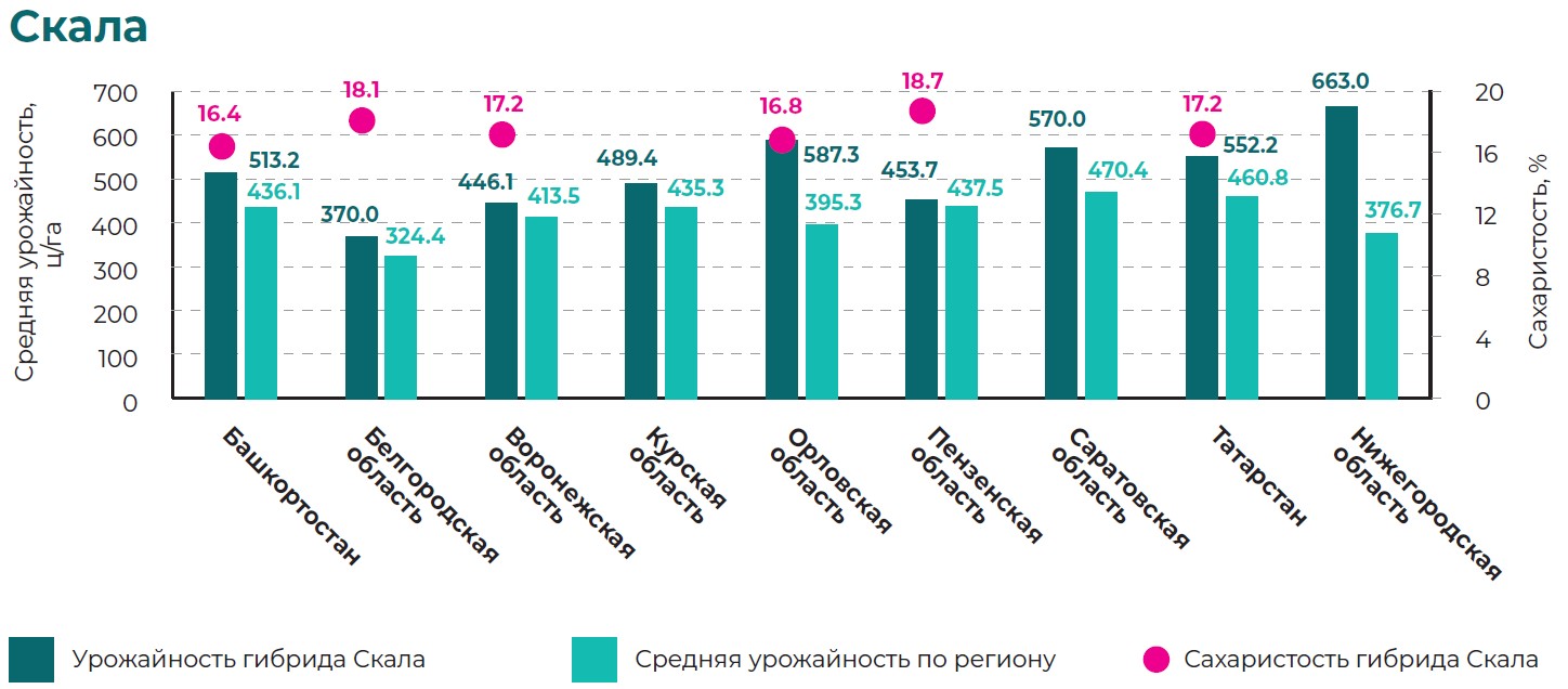 Скала.jpg