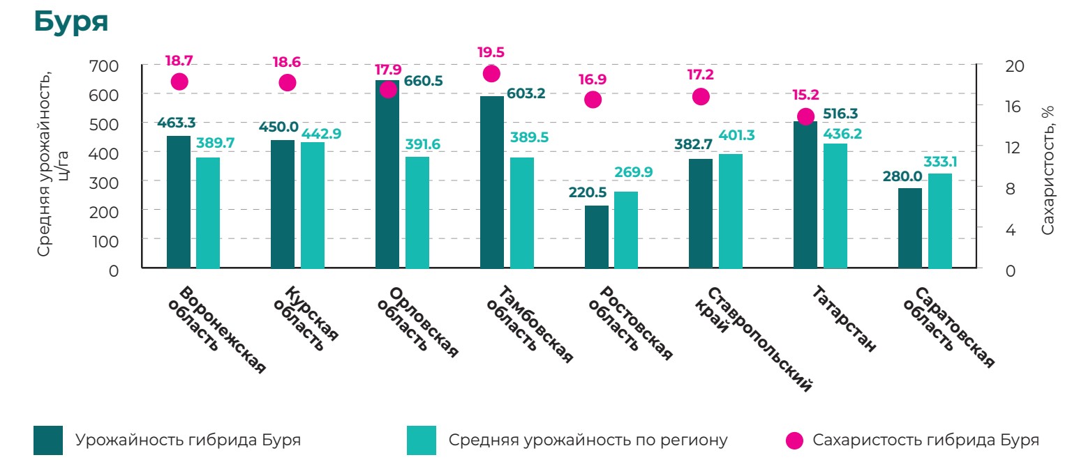Буря 2024.jpg