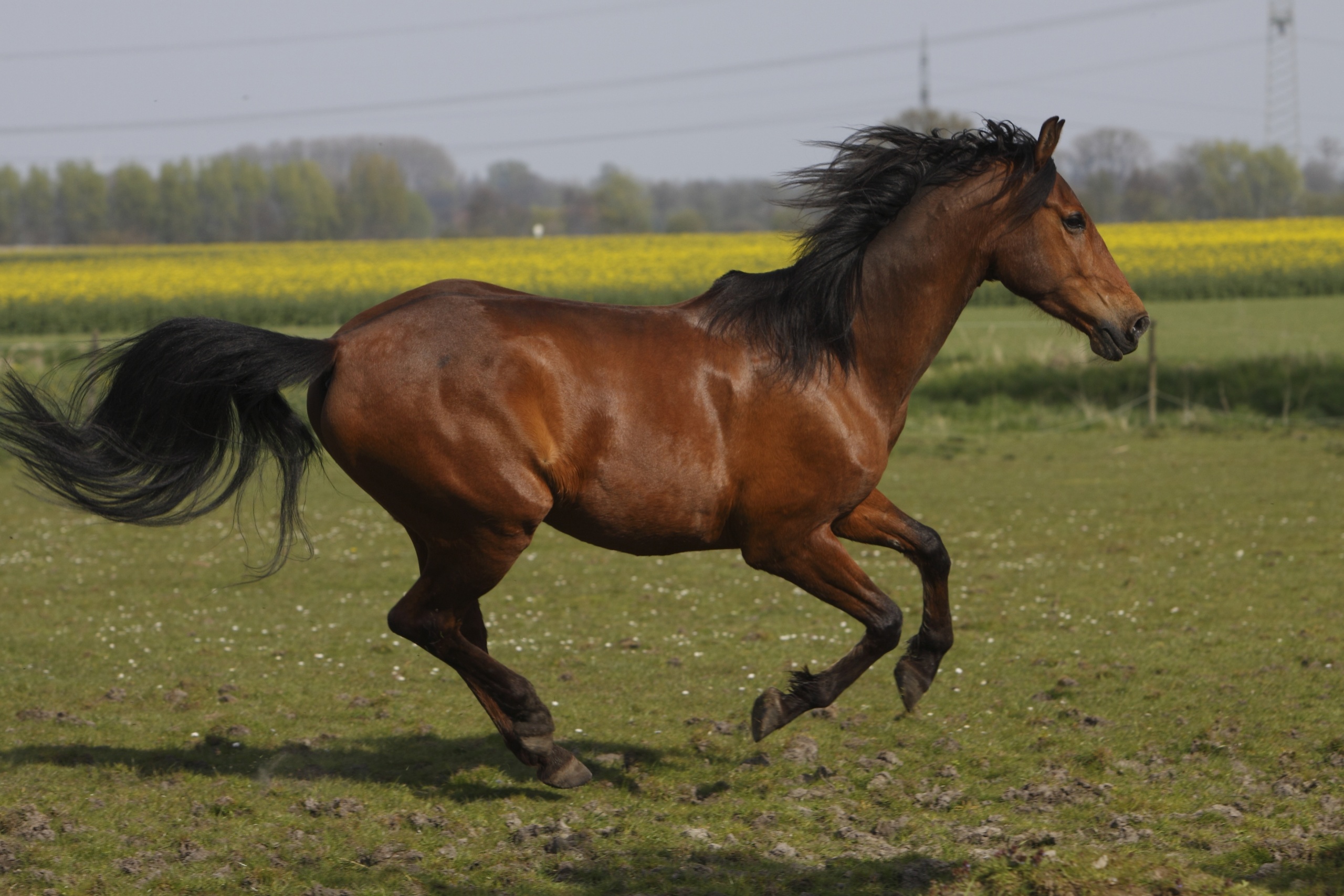 shutterstock_2601740375.jpg shutterstock_2601740375.jpg