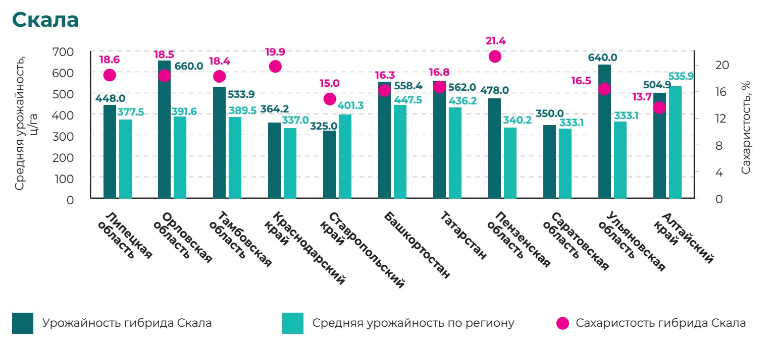 Скала 2024.jpg