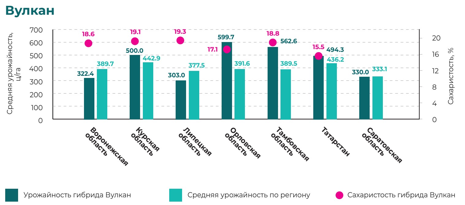 Вулкан 2024.jpg