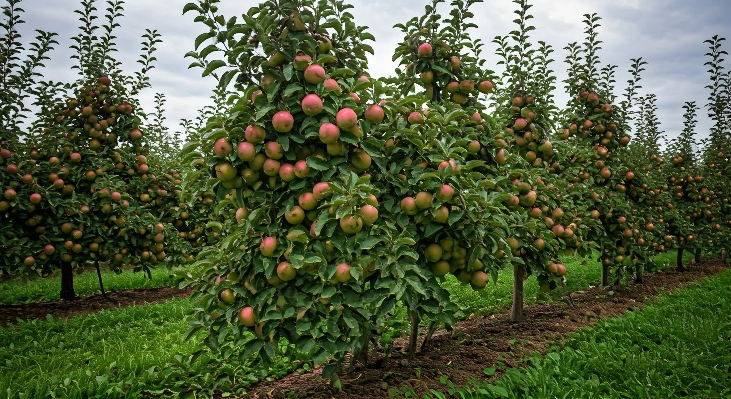 shutterstock_2590493349.jpg shutterstock_2590493349.jpg