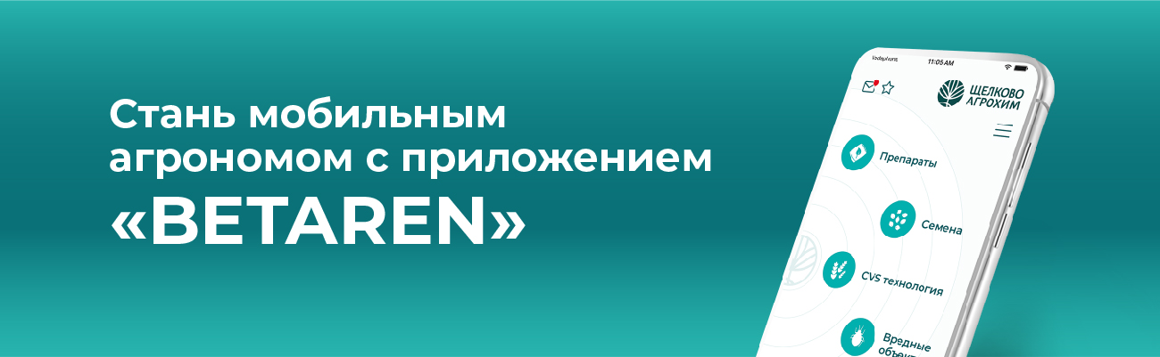 phone_Banner-01.jpg