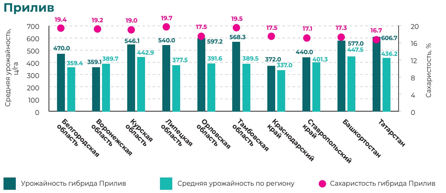Прилив 2024.jpg