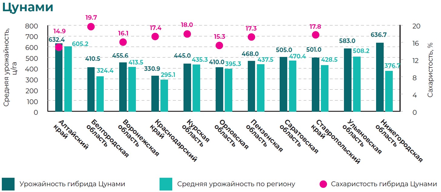 Цунами.jpg