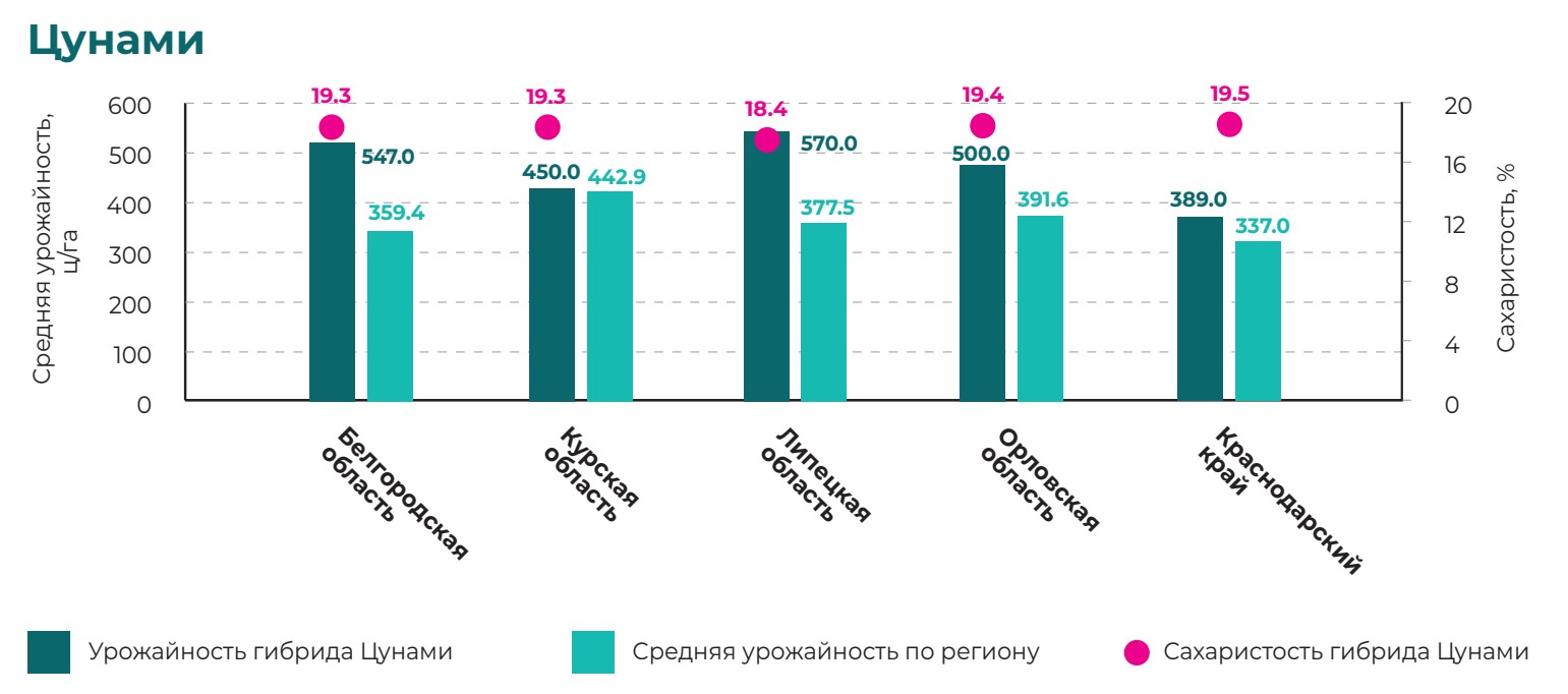 Цунами 2024.jpg