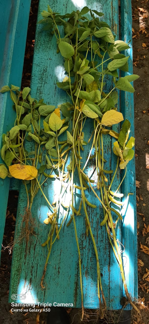 WhatsApp Image 2025-09-09 at 10.53.19 (2).jpeg WhatsApp Image 2025-09-09 at 10.53.19 (2).jpeg