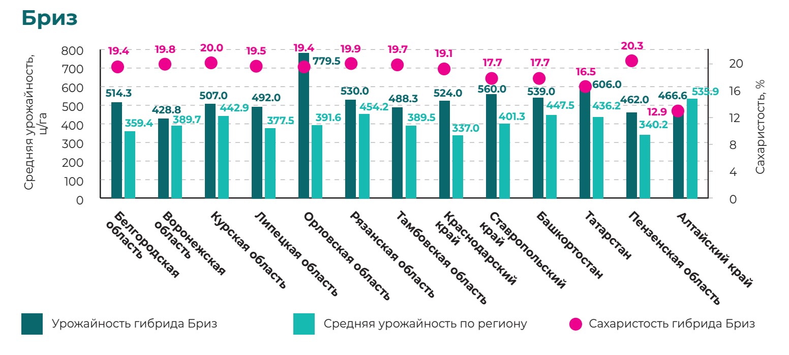 Бриз 2024.jpg