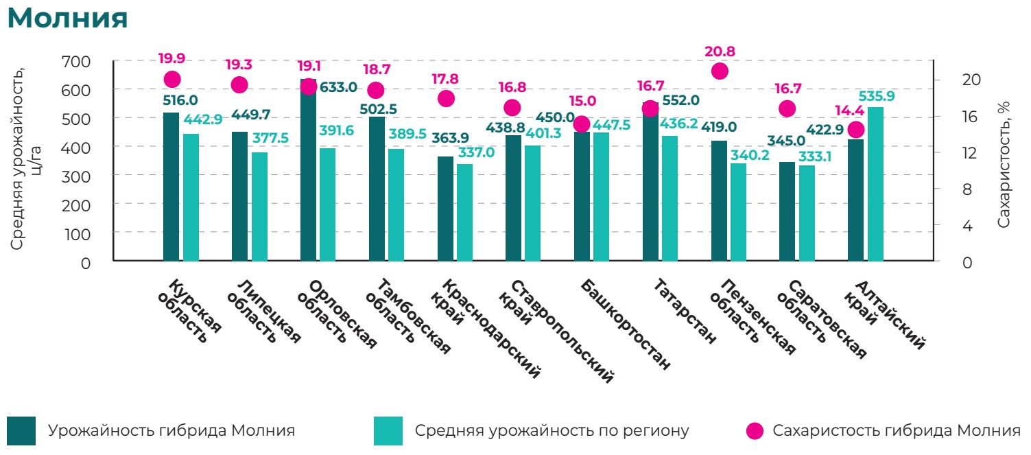 Молния 2024.jpg