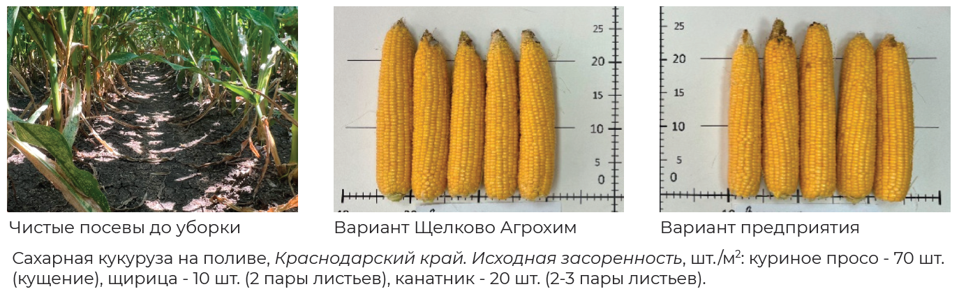 2026-06-05_11-27-32.png