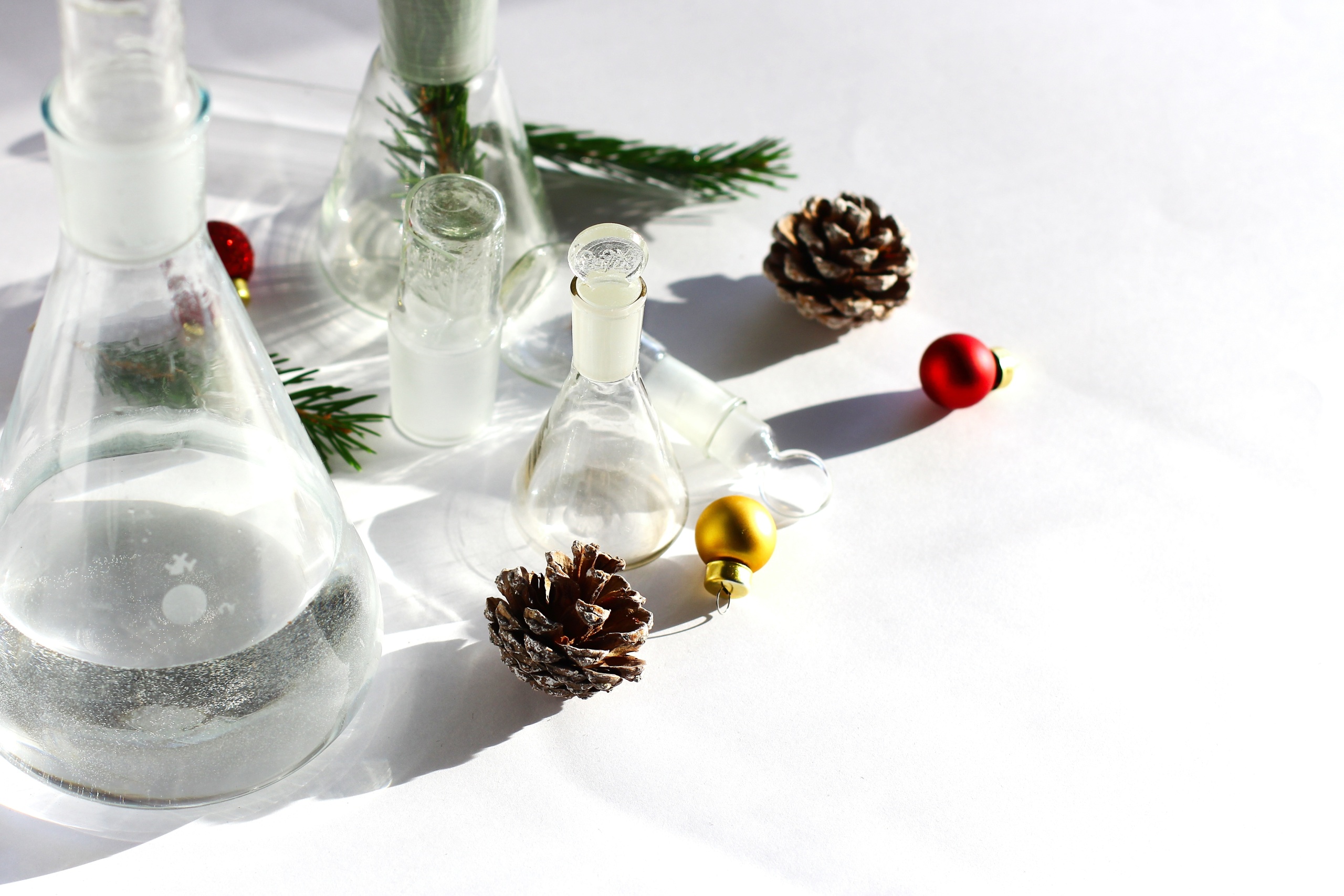 shutterstock_2215441115 (2).jpg shutterstock_2215441115 (2).jpg