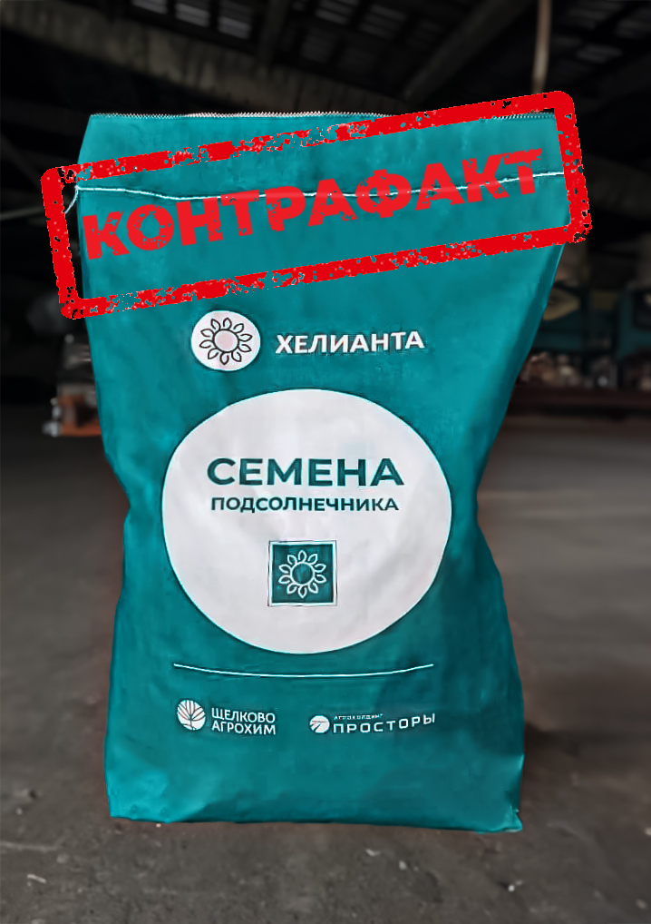 B.B. (8).jpg B.B. (8).jpg