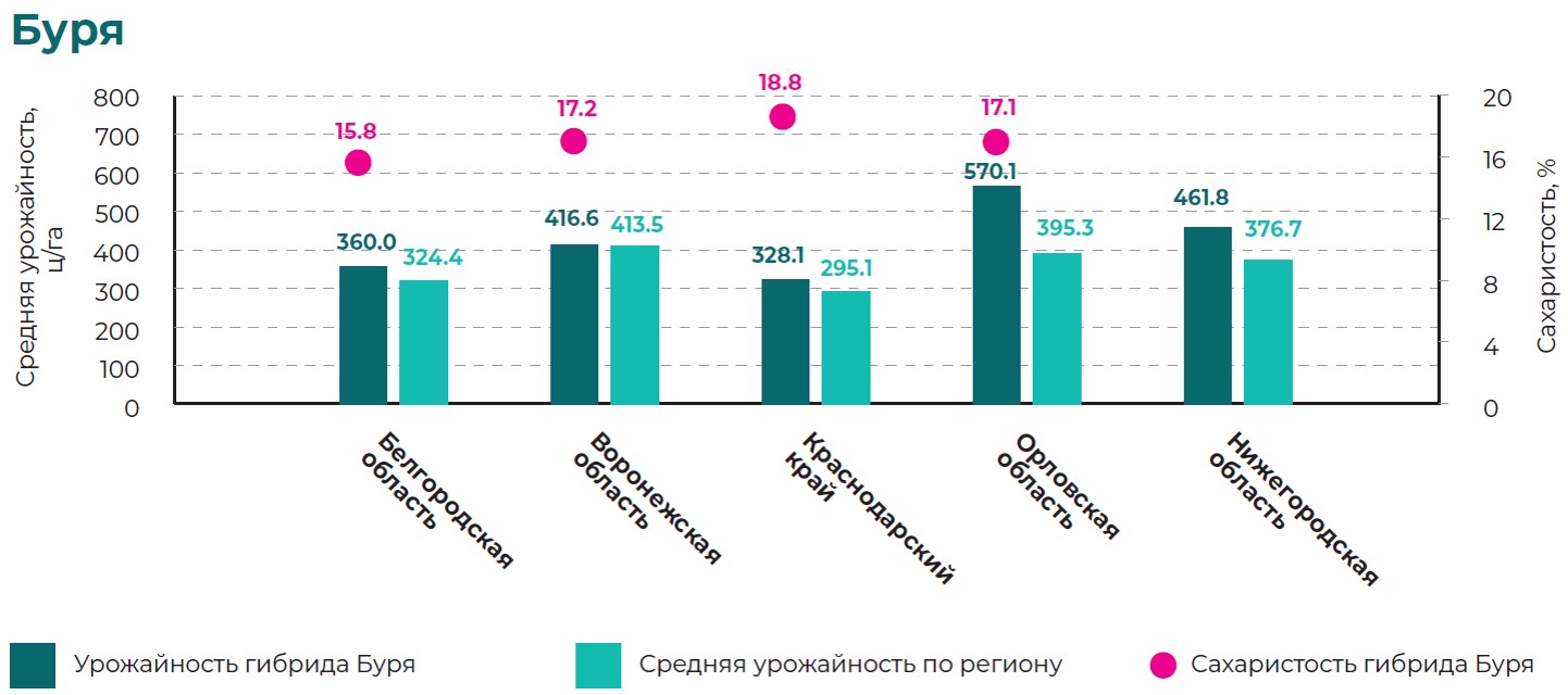 Буря.jpg