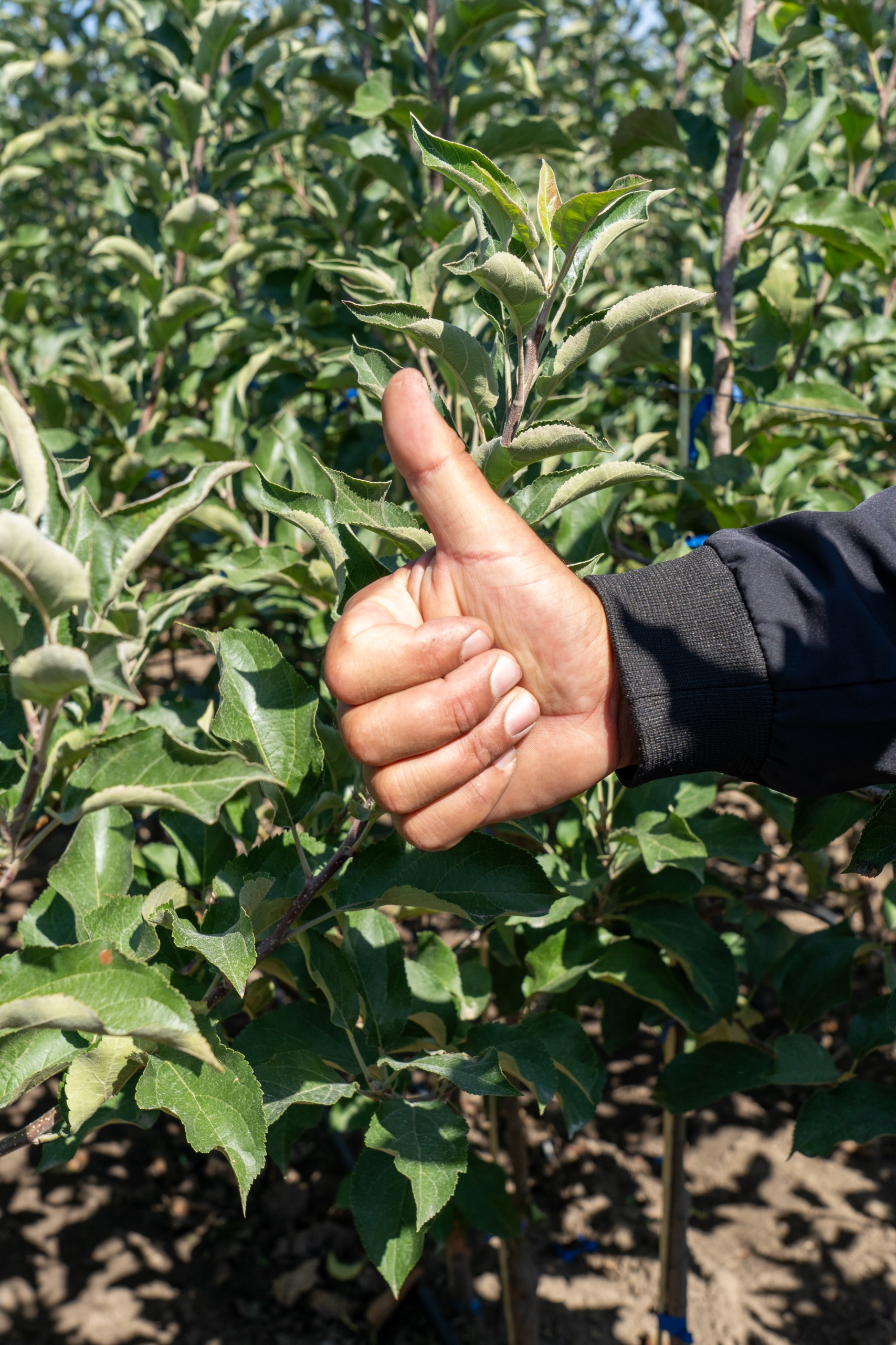 _DSC7580.jpg _DSC7580.jpg