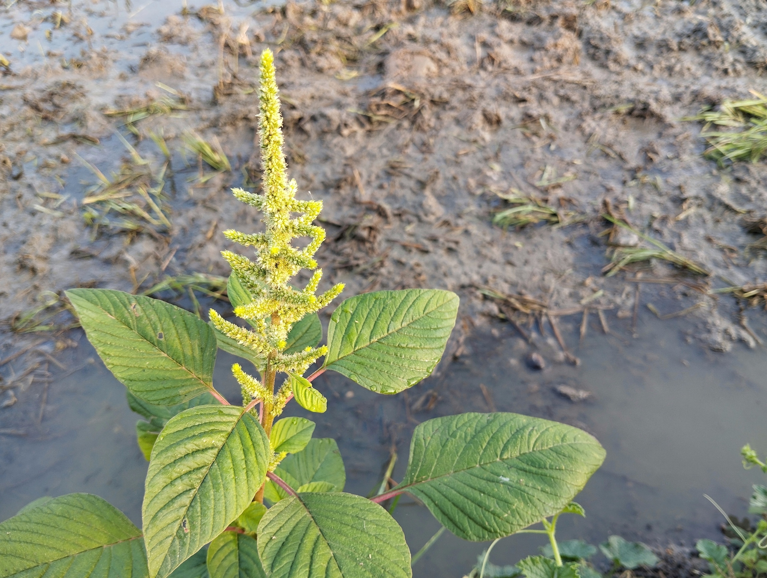 shutterstock_2656108749.jpg shutterstock_2656108749.jpg