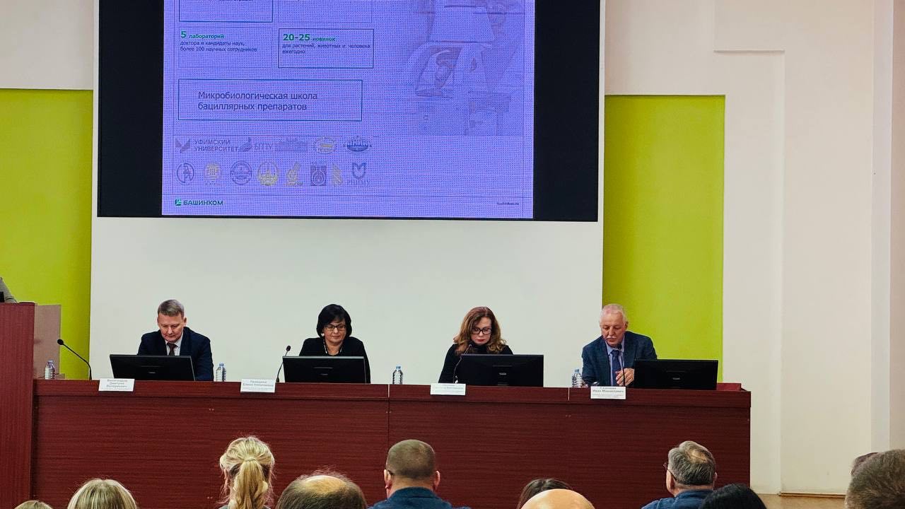 5274210451149494374.jpg 5274210451149494374.jpg