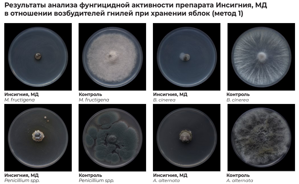 Инсигния чашки петри.jpg