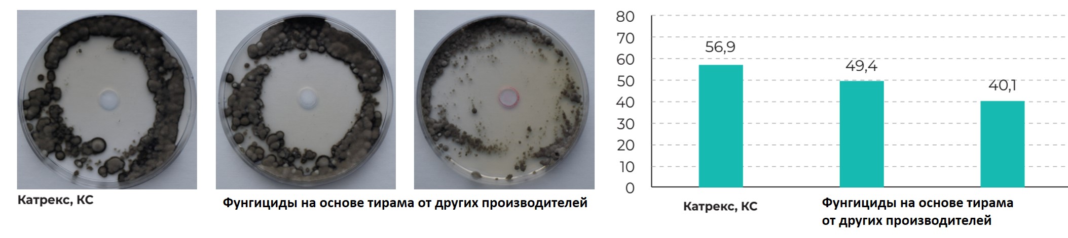 Катрекс.jpg