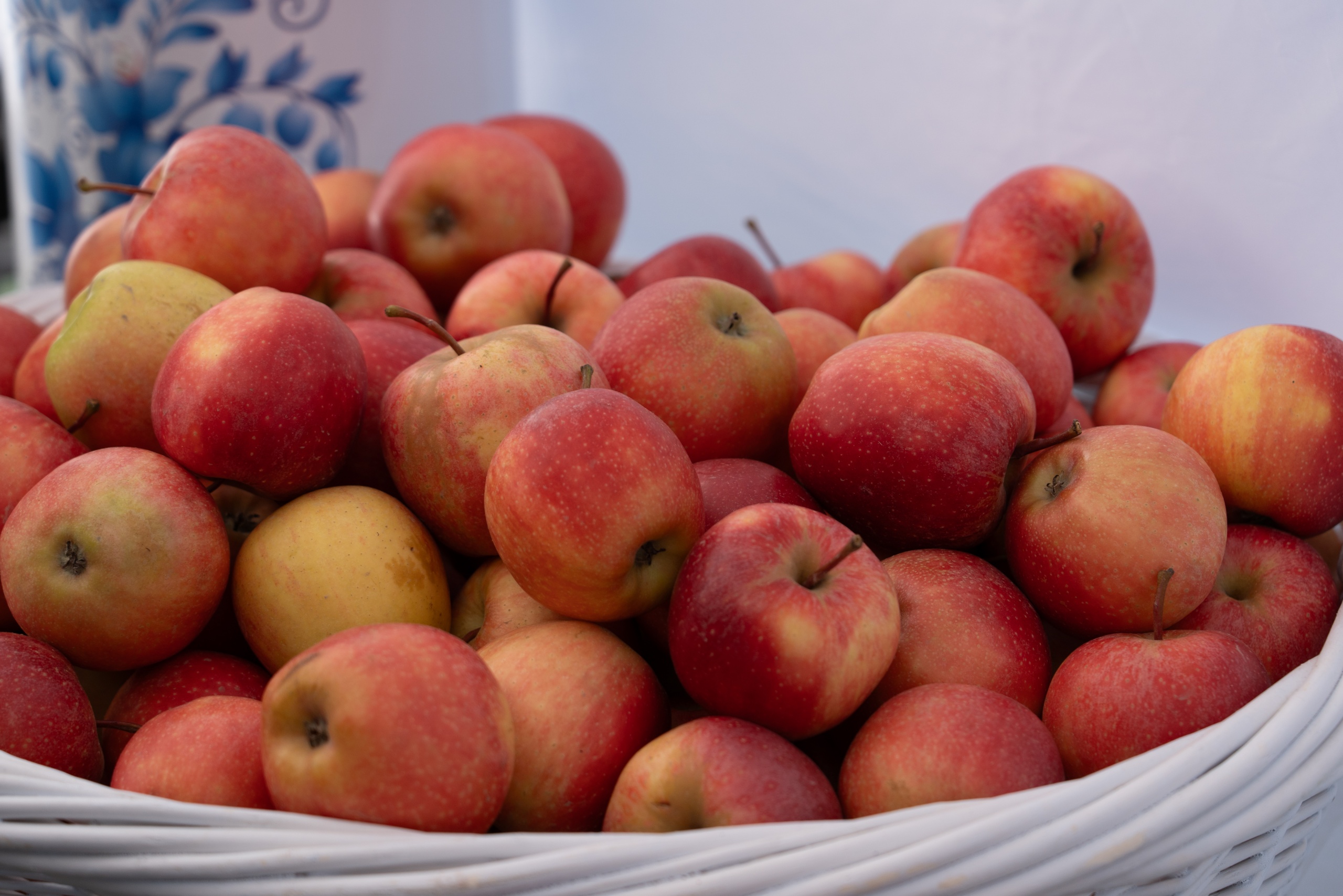 _DSC7183.jpg _DSC7183.jpg