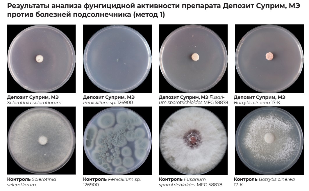 Депозит Суприм Подсолнечник.jpg