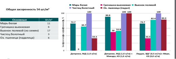 Таблица 1 Биологическая эффективность гербицидов.png Таблица 1 Биологическая эффективность гербицидов.png