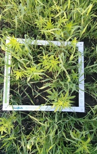 141413341.jpg 141413341.jpg